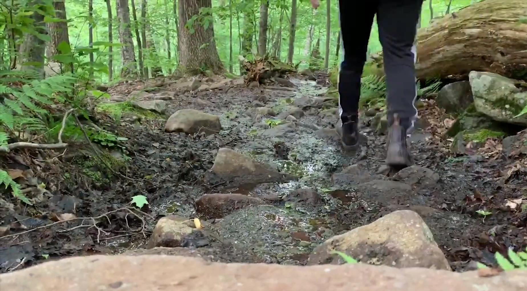 What are the Best Shoes for Hiking?